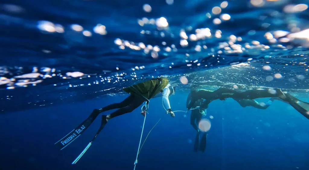 freediving in eilat