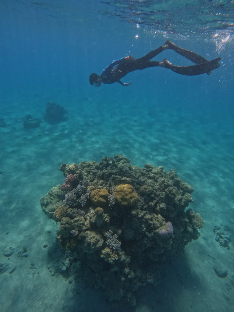 צלילה חופשית באילת