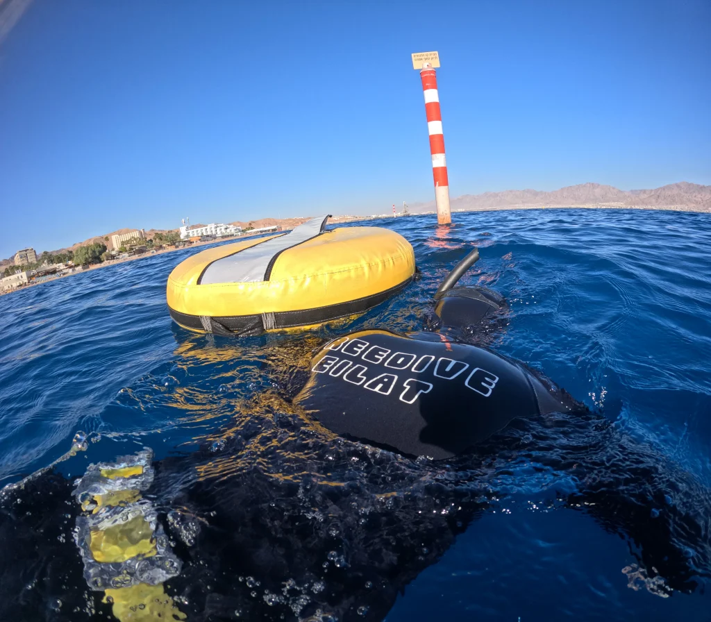 מערך צלילה חופשית חלק מהציוד בצלילה חופשית