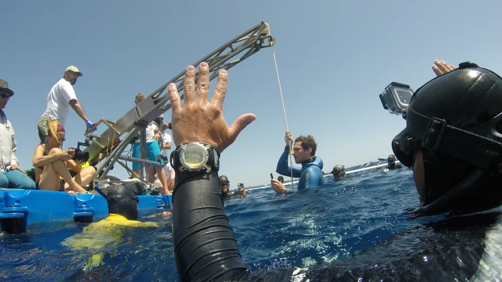 צלילה בתחרות ציוד צלילה חופשית