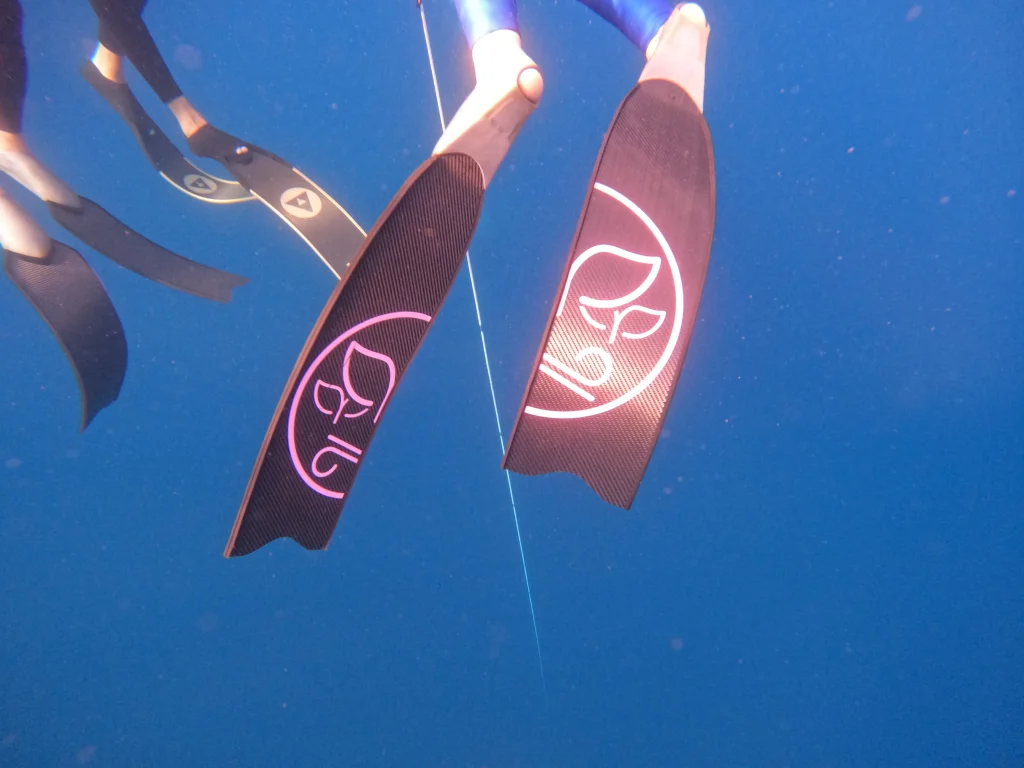 איך בוחרים ציוד לצלילה חופשית