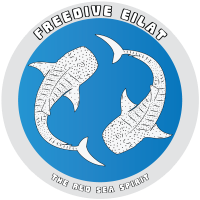 לוגו צלילה חופשית אילת ישראל Freedive Eilat